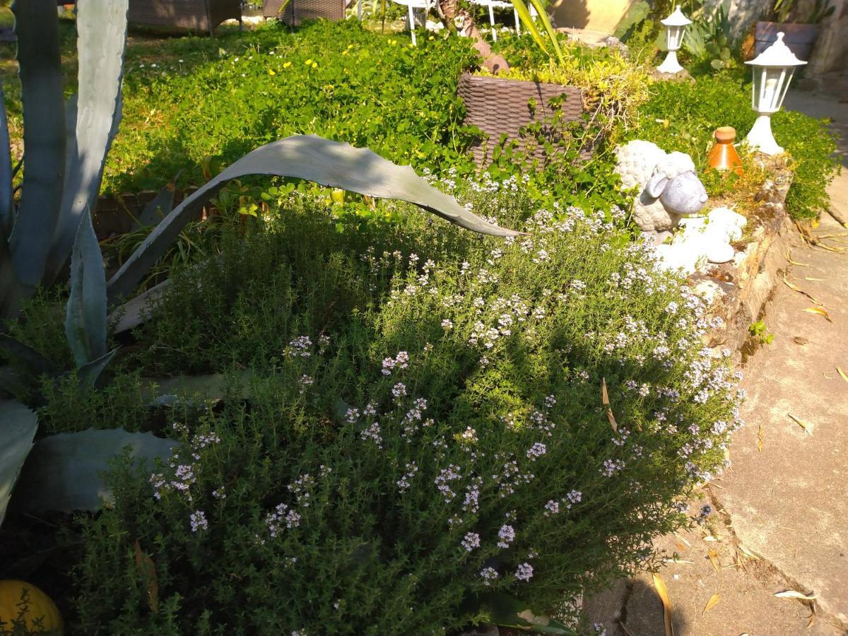 Le Gite De La Loire Rochecorbon Exterior foto